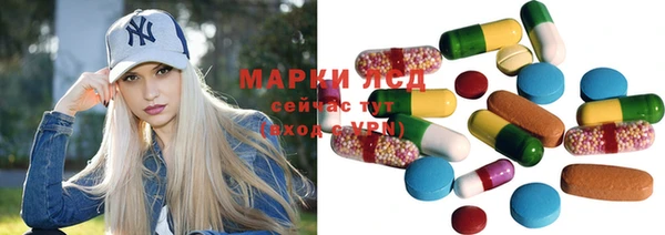 ECSTASY Белокуриха
