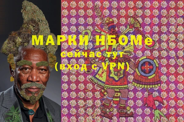 ECSTASY Белокуриха