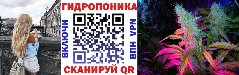 Бошки Шишки White Widow  Староминская 